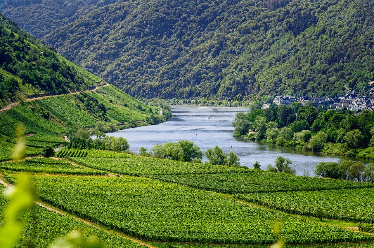 Regioni Vinicole: una guida a tutti i territori dove si produce vino