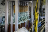 Imbottigliamento vino: periodi, fasi lunari e tutto quel che c’è da sapere
