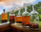 Tipi di grappa: la guida completa